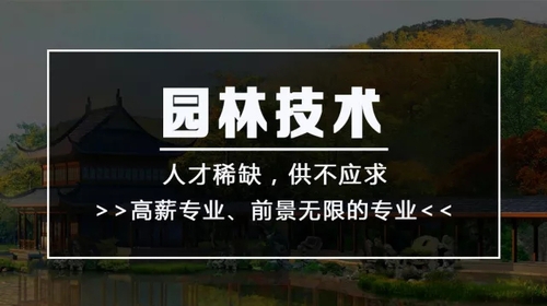 640.webp (1)